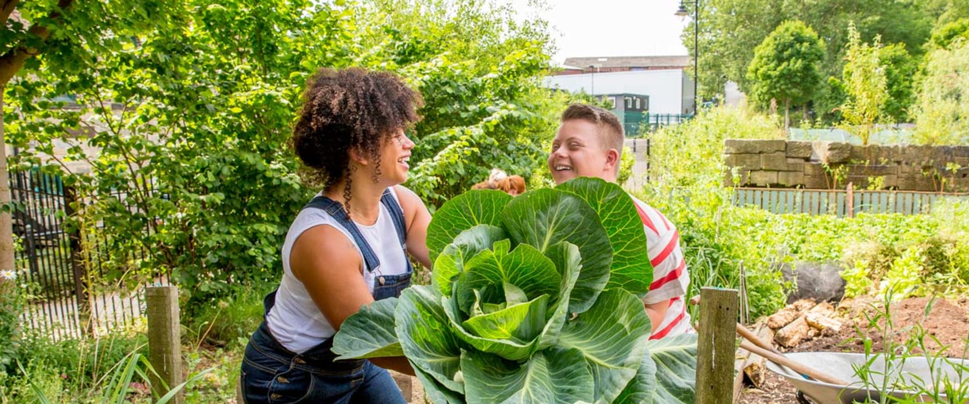 5 Community Gardens in Orange County, CA to Promote Healthy Living Habits